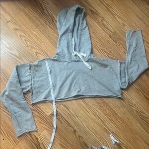 Urban Outfitters Gray Cropped Hoodie